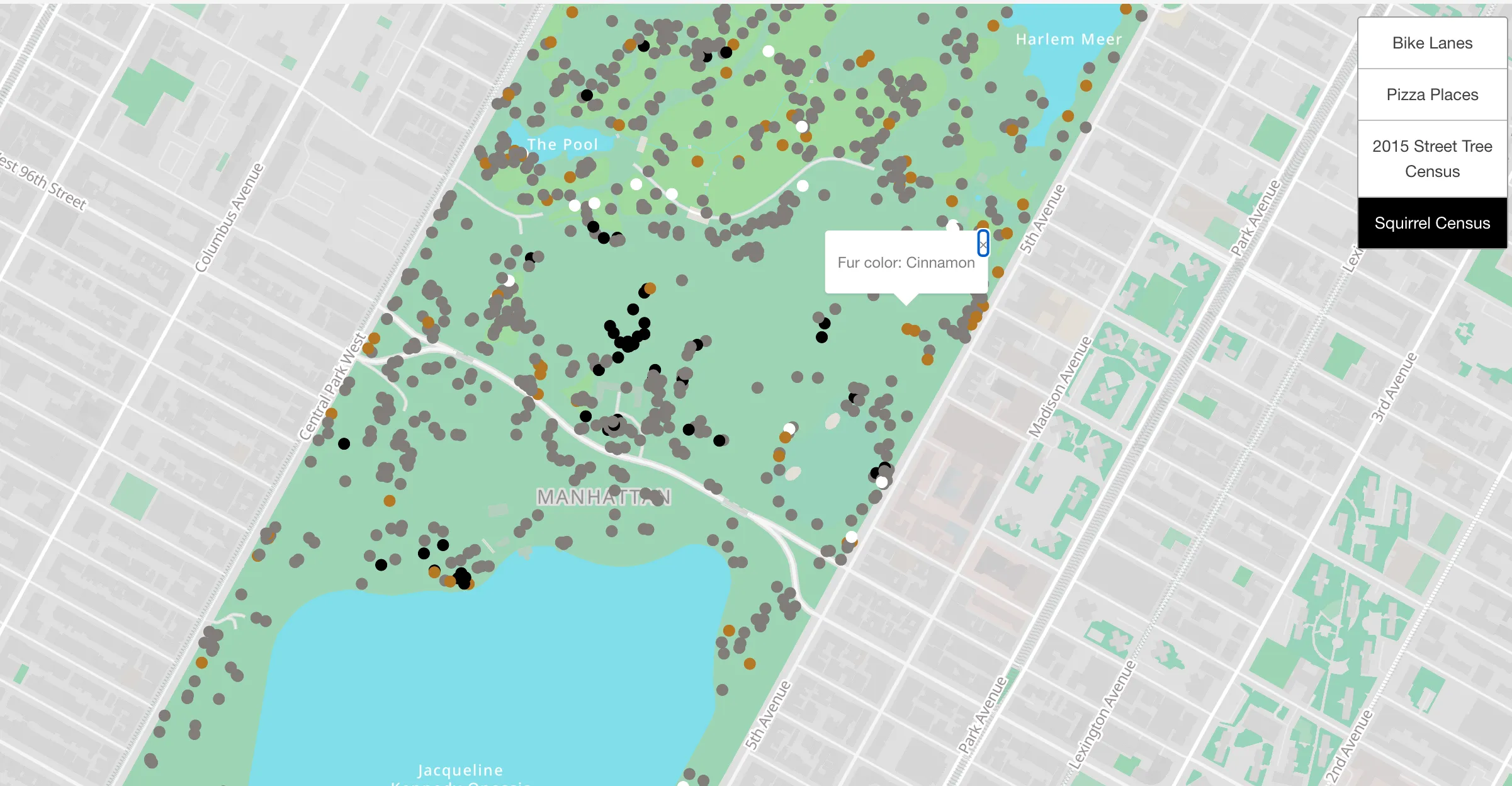 map of squirrel census