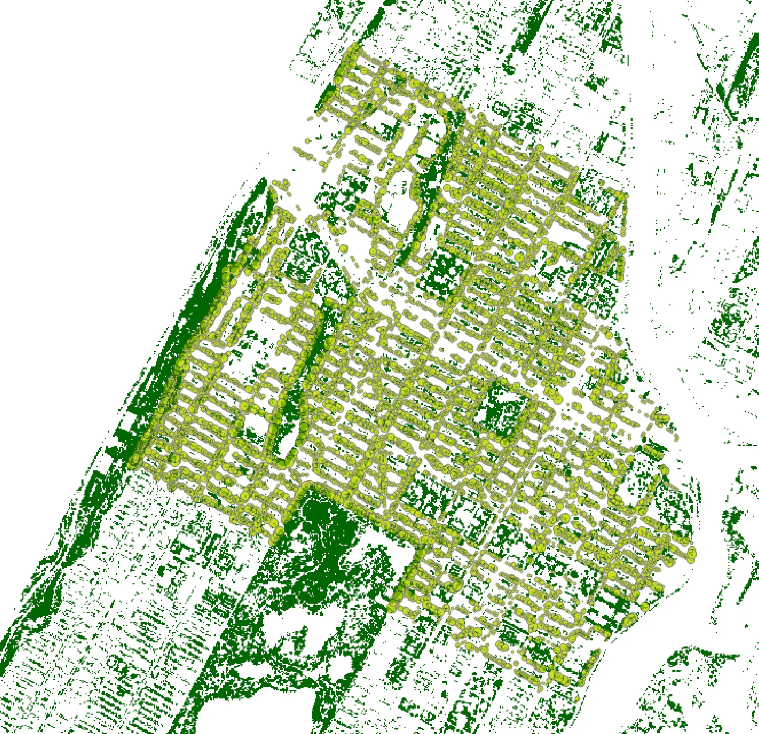 graduated trees map